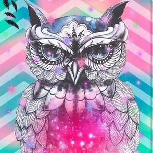 Meet your Posher, Rae